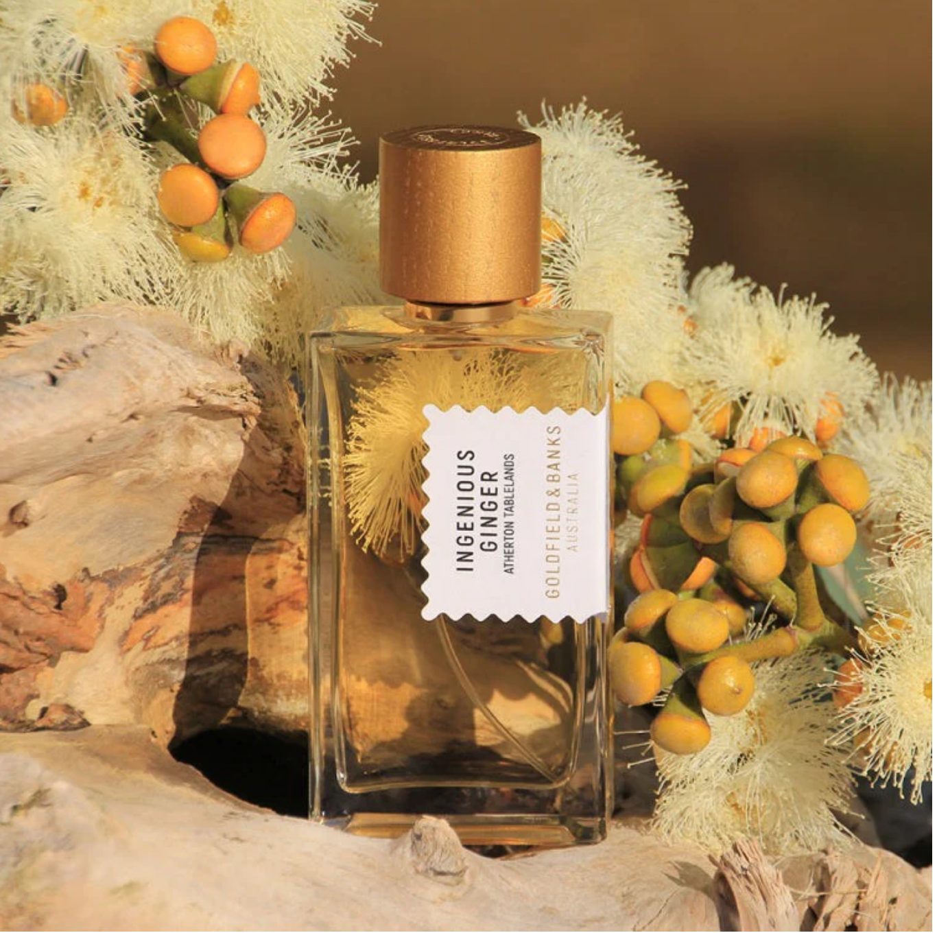 Goldfield & Banks Ingenious Ginger (Decant)