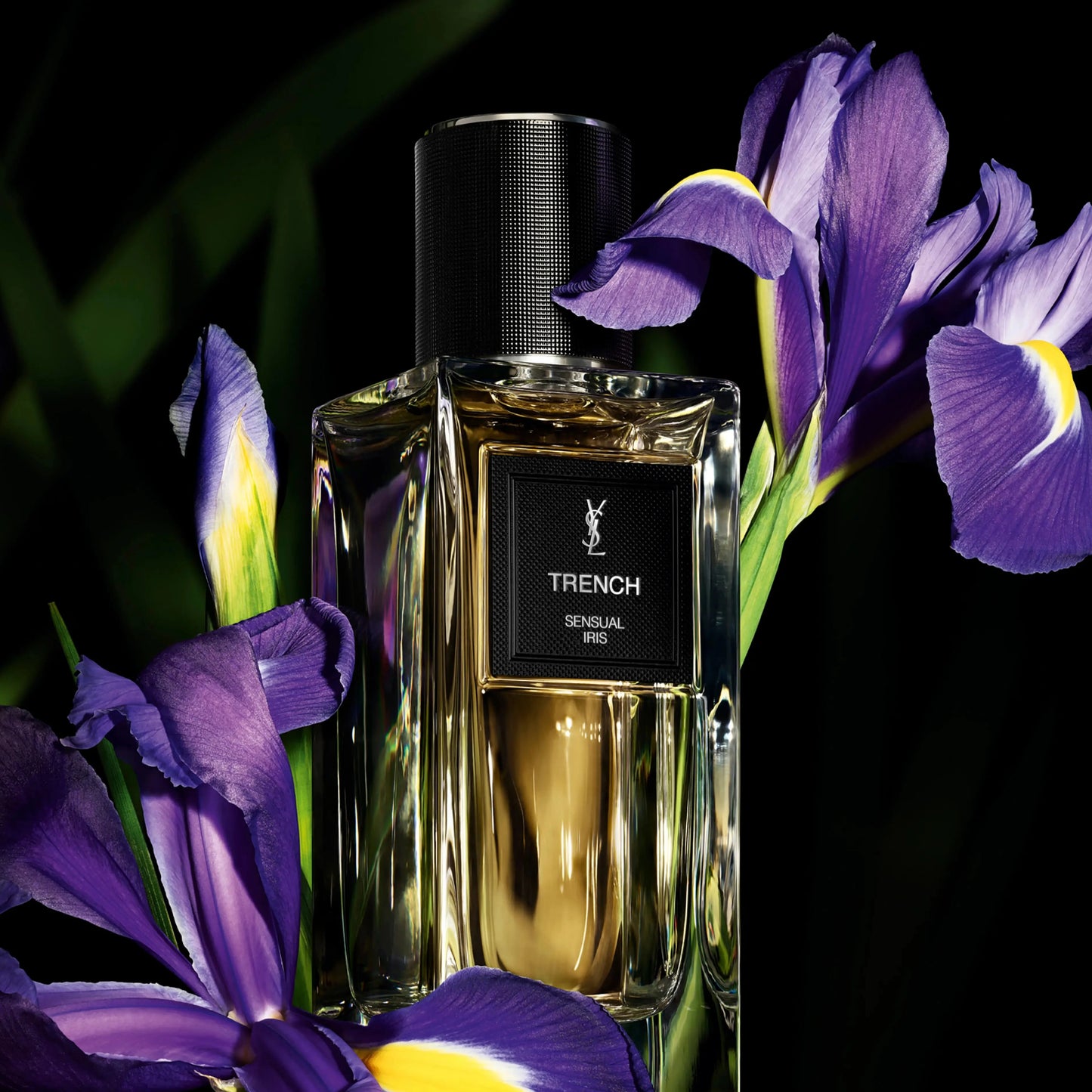 YSL Trench (Decant)